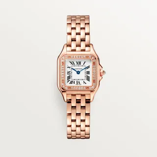 Cartier Panthère WJPN0049 22mm Rose gold Silver