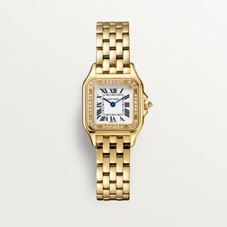 Cartier Panthère WJPN0067 22mm Yellow gold Silver