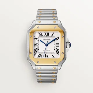 Cartier Santos W2SA0016 | Stainless steel