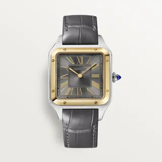 Cartier Santos W2SA0028 43.5mm Stainless steel Golden