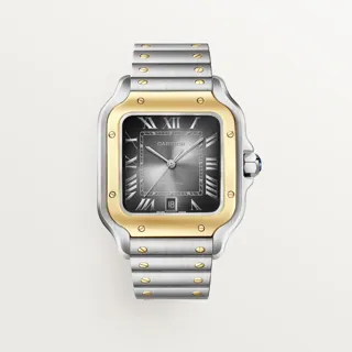 Cartier Santos W2SA0030 47.5mm Yellow gold Gray