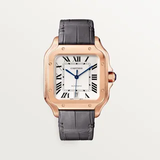 Cartier Santos WGSA0019 47.5mm Rose gold Silver