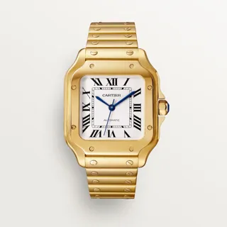 Cartier Santos WGSA0030 Yellow gold Silver