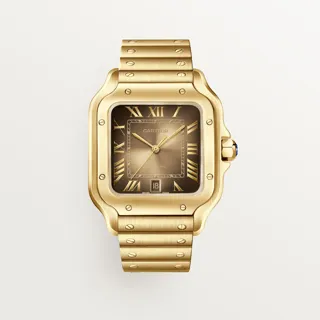 Cartier Santos WGSA0095 47.5mm Yellow gold Sunray