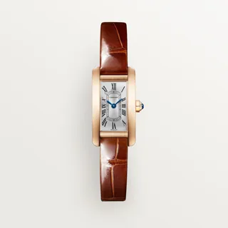 Cartier Tank Américaine WGTA0132 Rose gold Silver Sunray