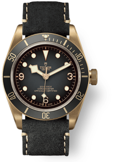 Tudor Black Bay Bronze M79250BA-0001 Bronze Black