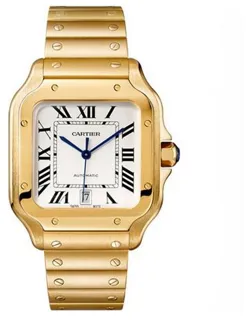 Cartier Santos WGSA0029 Yellow gold Silver