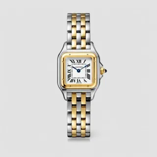 Cartier Panthère W2PN0006 30mm Yellow gold and Stainless steel Silver