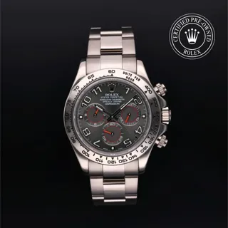 Rolex Daytona 116509-0047 40mm White gold Gray