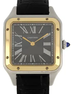 Cartier Santos de Cartier W2SA0015 43.5mm Stainless steel Gray