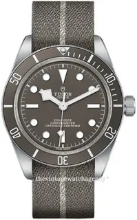 Tudor Black Bay M79010SG-0002 39mm Silver Beige