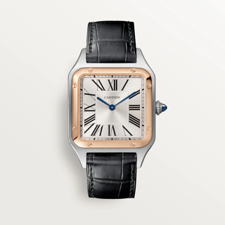 Cartier Santos Dumont W2SA0011 Stainless steel Silver