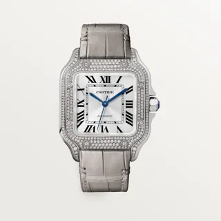 Cartier Santos WJSA0014 White gold Silver