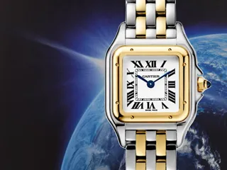 Cartier Panther W2PN0006 22mm Yellow gold and Stainless steel Silver