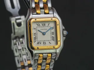 Cartier Panthère 166921 Yellow gold and Stainless steel White