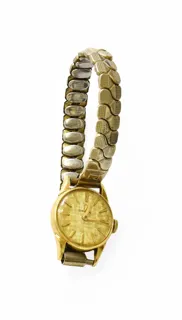 Omega 18k Gold