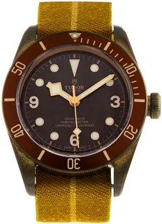 Tudor Heritage Black Bay 79250BM 43mm Bronze Brown