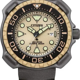 Citizen Eco-Drive BN0226-10P