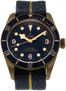 Tudor Heritage Black Bay 79250BB 43mm Bronze blue