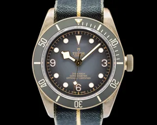 Tudor Heritage 79250BA 43mm Aluminium Dark gray