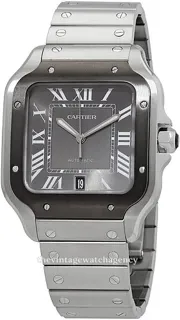 Cartier Santos WSSA0037 | Stainless steel