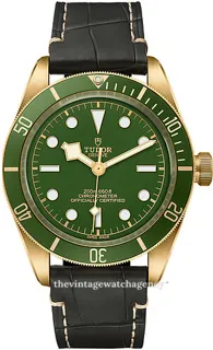 Tudor Black Bay M79018V-0001 39mm Yellow gold Green