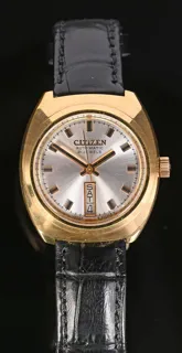 Citizen 61-6028 30mm Stainless steel and Gold-plated Silver