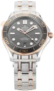 Omega Seamaster O21020422001001 Rose gold and Stainless steel Black