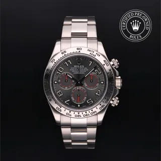 Rolex Cosmograph Daytona 116509-0041 18k white gold Gray