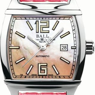 Ball Conductor NL1068D-L3AJ-PK Stainless steel White 2025 | Dealer