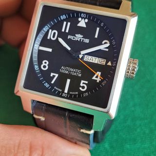 fortis-square-53323584_320.jpeg