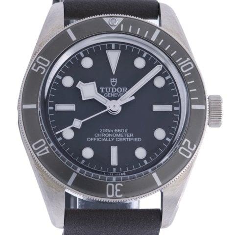 Tudor Black Bay M79010SG-0001 39mm Silver Grey